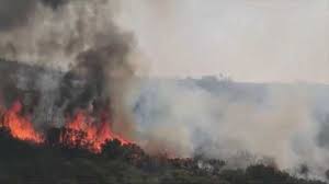 Jul 03, 2021 · newsit τοπικα νεα χαλκιδικη: Fwtia Se Dasikh Ektash Sth Xalkidikh Deite Binteo Kai Fwtografies