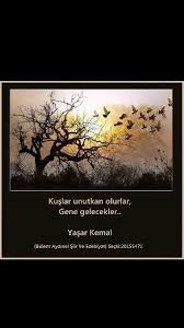Kuslar Unutkan Olurlar Gene Gelecekler Yasar Kemal Gemi Kus Gelecek