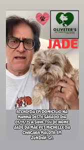 Reel by Oliveter (@oliveterjundiai) · November 2, 2025