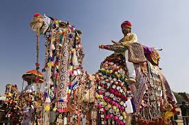 It is the world's largest camel fair. A Complete Guide On Pushkar Camel Fair 2021 World S Largest Fair