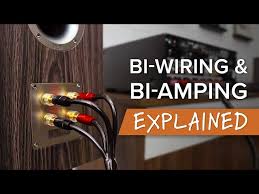 Monowiring, Bi-Wiring Or Bi-Amping In Hi-Fi. What Are They? - Ricable -  Connect Your Passion