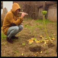 Create a free family tree for yourself or for aron kovacs and we'll search for valuable new information for you. Kovacs Aron Adam S Stream