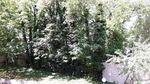 Diese hinreißende wohnung in 64839 münster wartet vielleicht nur auf sie! 1 Zimmer Wohnung Zum Verkauf Bettinastr 5 5 63067 Offenbach Am Main Stadtmitte Mapio Net