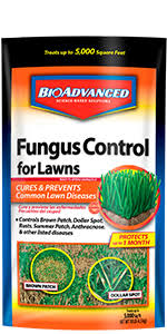 Bioadvanced Fungus Control For Lawns Instructions Amazon Com Bioadvanced 700280b Complete Insect Killer For Soil Turf Flea And Tick Yard Protection 32 Oz Ready To Spray Insecticide For Back Yard Garden Outdoor