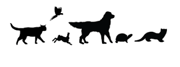 The veterinary hospital staff at animal and bird hospital of del mar is committed to providing excellent, professional care to our clients and their beloved pets of all shapes and breeds. Covid 19 Alert