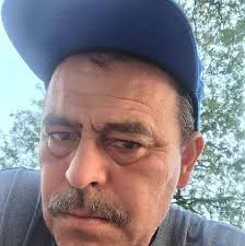 Mother monkey's baby collapses and recovers