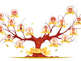What is my family tree worth in value? My Family Tree Proeves Learning Lab