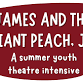 Summer Theater Intensive