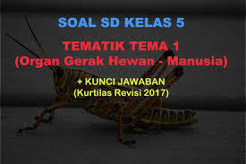 Un sd/mi ipa 3 download soal prediksi un sd/mi ipa 4 download. 30 Soal Pg Tema 1 Kelas 5 Sd Kurikulum 2013 R 2017 Jawaban Muttaqin Id