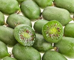 Image result for foto minikiwi