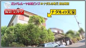 コロチキナダルの結婚した嫁と子供の画像は 年齢サバ読みで実家は激怒 しゃえま偶感