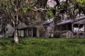 When The Woods Are Scary Enchanted Forests Like Brothers Grimm Broken Fairytales Scary Woods Camping Aesthetic Camping In The Woods
