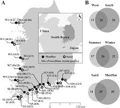 The Diversity And Ecological Roles Of Penicillium In