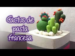 29 views · 15 june. Cactus Decorativos De Pasta Francesa Youtube