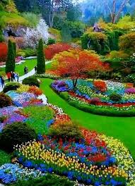 Parures Housses De Couette Floral Most Beautiful Gardens Beautiful Gardens Beautiful Flowers Garden