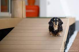 ワンちゃんも降りやすいデッキスロープ エクステリア ウッドデッキ 家 外観 シンプルモダン