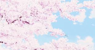 Maybe you would like to learn more about one of these? Latest Anime Scenery Gifs Gfycat
