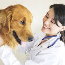 scil animal care company GmbH