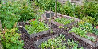L'auteur, kurt forster, est l'un des pionniers de la permaculture. Comment Faire Un Jardin Potager En Permaculture Marie Claire