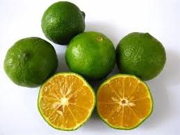 Check spelling or type a new query. Khasiat Limau Kasturi Biarpun Bentuk Dan Saiz Limau Kasturi Ini Kecil Namun Tahukah Anda Bahawa Limau Kasturi Ini Mempunyai 1001 Khasiat Limau Kesehatan Buah