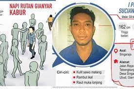 Gimana, squad, sudah mengerti, kan, apa yang membedakan jamur dengan tumbuhan? Ciri Ciri Napi Rutan Gianyar Yang Kabur Saat Diajak Jalan Jalan Halaman All Kompas Com