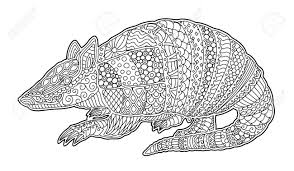 The spruce / ashley deleon nicole these free pumpkin coloring pages will be sna. Beautiful Adult Coloring Book Page With Decorative Armadillo On White Background Stock Photo Picture And Royalty Free Image Image 118378404