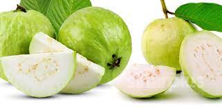 Dalam satu biji buah jambu batu atau guava, ia mengandungi vitamin c, a, kalium, antioksidan, magnesium dan folat. Khasiat Jambu Batu Yang Awesome 4 Kali Lebih Banyak Vitamin C Berbanding Oren