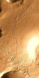 Image result for Cydonia