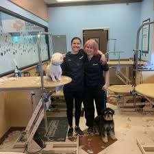 Louis park, mnподлинная учетная запись @stlouispark. St Louis Park Petsmart Home Facebook
