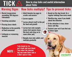 We did not find results for: Tick Bite On Dogs Tick Fever Symptoms Treatments Petmoo