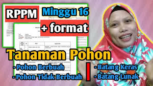 Check spelling or type a new query. Rppm Lengkap Kelompok A Dan B Subtema Tanaman Pohon Tk Paud Bdr Daring Youtube