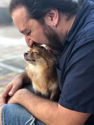 My name is: Ava Marie My breed is: Chihuahua My age is: 12 weeks My  nickname is: Baby girl My favorite food is: Royal Canin puppy food My  favorite human: My mom