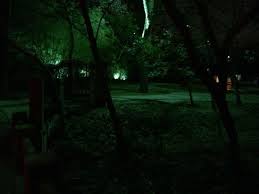 Pathway Lighting Tree Lights Pictures Dallas Landscape Lighting Landscape Lighting Pathway Lighting Tree Lighting