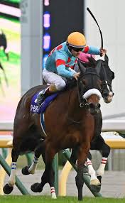 Amazon.co.jpがおすすめするギフトを、贈る相手の趣味や興味に合わせて幅広くご sykooria アウトドアチェア おりたたみいす 耐荷重150kg 枕付き ダブル型フレーム 安定性向上 ハイバックチェア 簡単組立 軽量 コンパクト 釣り 花火大会 bbq 登. é¦¬åˆ¸å£²ã‚Šä¸Šã'å¥½èª¿ ãã®è£ã§ é£²é£Ÿåº— ã‚°ãƒƒã‚ºæ¥­è€…ã®è©¦ç·´ æ¯Žæ—¥æ–°èž