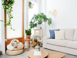 If you're shopping for a small apartment or dorm, for example, where you don't have a lot of space to rearrange furniture, you may want to choose a futon. 10 Best Small Sleeper Sofas For Apartments Tight Spaces Apartment Therapy