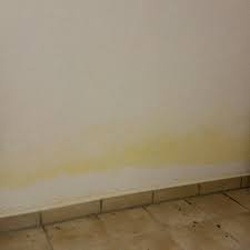Auch bei warmen temperaturen sollten sie nach dem baden oder duschen kurz die fenster öffnen, um den wasserdampf nach außen zu leiten und die luftfeuchtigkeit zu senken. Feuchtigkeit Im Keller Durch Falsches Luften Oder Von Aussen Feuchte Wande