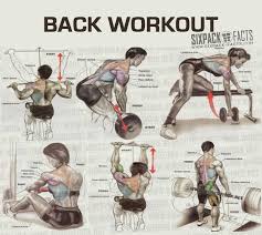 Best Back Workout Routine Best Laptop