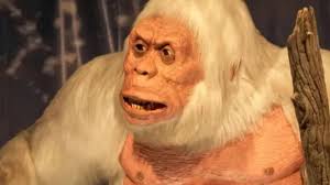 हिमालयात खरंच 'येती' म्हणजेच हिममानव अस्तित्वात आहेत का?