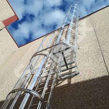 Escalera De Gato Vertical Proteccion Espalda
