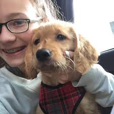 Ryder, now Widget and Brody, now Smoke, with new Mom Alana Poage and sister  Minnie as they head home to Iowa. Hard one for me as I love those two boys  and