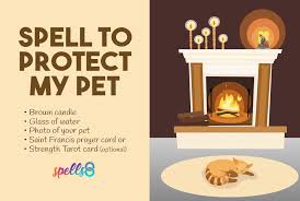 What's the best way to pray for a pet? Spell To Protect Your Pets Or Find A Lost Pet Spells8