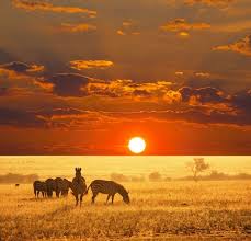 Pictures pretty pictures gorgeous sunset nature landscape photo sunset photography scenery sunrise. Sunset Nature Picture Free Stock Photos Download 22 034 Free Stock Photos For Commercial Use Format Hd High Resolution Jpg Images