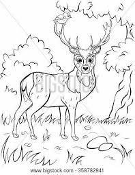 Does he demand frequent trips to the zoo? Coloring Page Cute Vector Photo Free Trial Bigstock