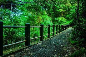 Check spelling or type a new query. Some Of The Most Beautiful Flowers Rare Fungus And Peaceful Nature Can Be Seen At This Beautifu Picture Of Botanical Garden Of Tohoku University Sendai Tripadvisor