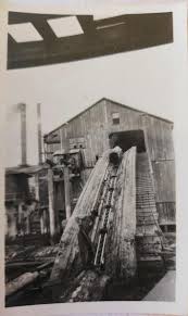 Whatcom Creek: An Era of Urbanization Through a History of Flame