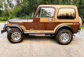 Image result for Brown 1986 Fleet