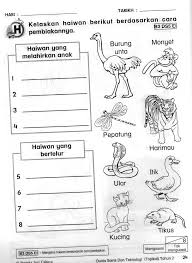 Transisi tahun 1 dadu saya. Latihan Haiwan Sains Tahun 1 Yahoo Image Search Results Image Literacy Image Search