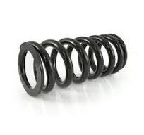 Height lowering kit -20mm for Tiger 900 Rally / Rally Pro (2020-2024)  replacement springs