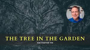 Why did god put the tree in the garden. Why Did God Put The Tree In The Garden Of Eden Youtube