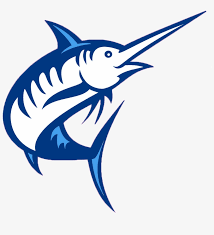 They really loved it and so he asked me to draw a marlin fish for him, a sword fish in my books the kind of fish that if you're not careful when fishing, it will definitely be news for you. Professional Service Marlin Fish Vector Free Png Image Transparent Png Free Download On Seekpng